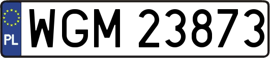 WGM23873