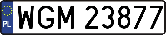 WGM23877