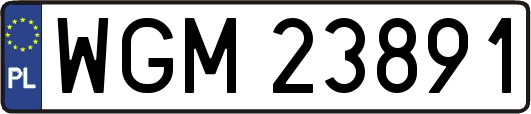 WGM23891