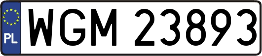 WGM23893