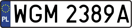 WGM2389A