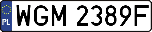 WGM2389F