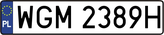 WGM2389H