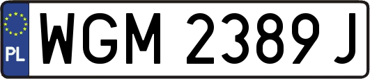 WGM2389J