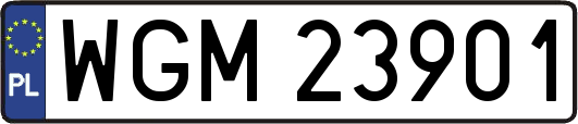 WGM23901