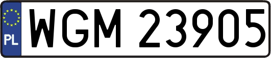 WGM23905