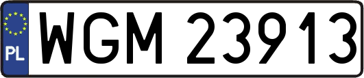 WGM23913