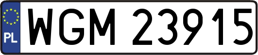 WGM23915