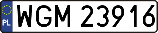 WGM23916