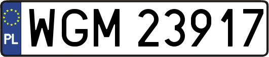 WGM23917