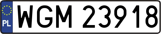 WGM23918