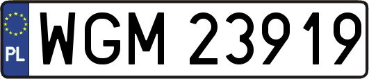 WGM23919