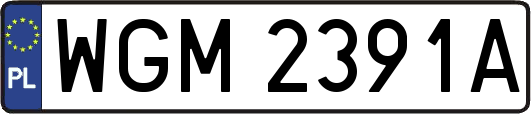 WGM2391A
