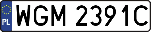 WGM2391C