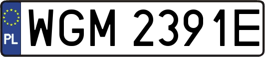 WGM2391E