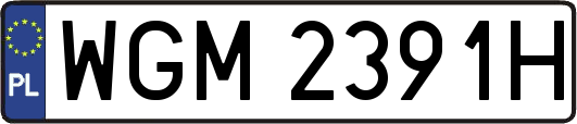 WGM2391H
