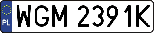 WGM2391K
