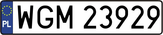 WGM23929