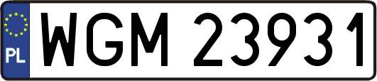 WGM23931