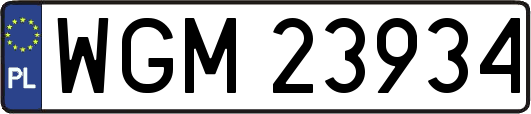 WGM23934