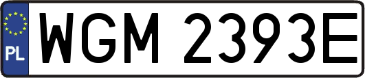 WGM2393E