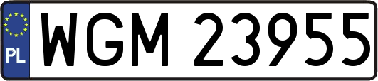 WGM23955