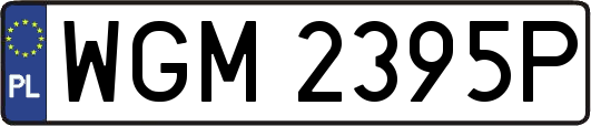 WGM2395P