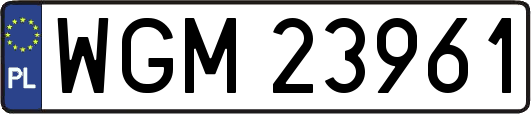 WGM23961
