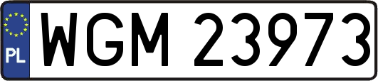 WGM23973
