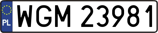 WGM23981