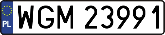WGM23991