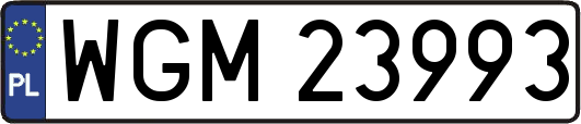 WGM23993