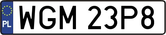 WGM23P8