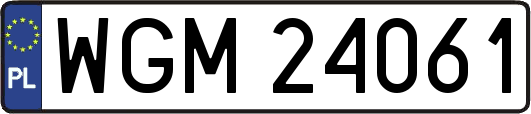 WGM24061