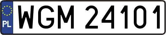 WGM24101
