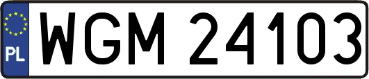 WGM24103