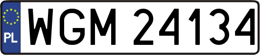 WGM24134