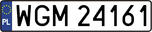 WGM24161