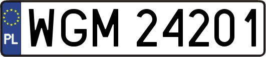 WGM24201