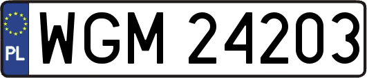 WGM24203