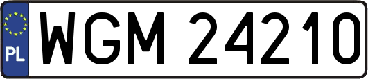 WGM24210