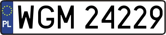WGM24229