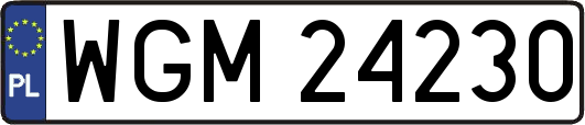 WGM24230