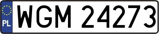 WGM24273