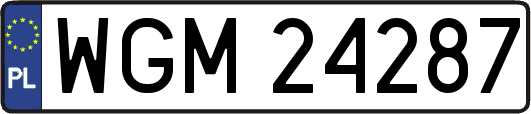 WGM24287