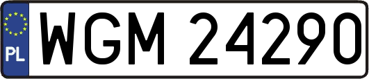 WGM24290
