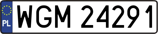 WGM24291