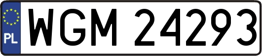 WGM24293