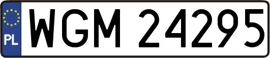 WGM24295