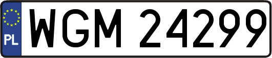 WGM24299